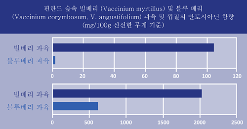 anthocyanin_figure_ko.gif