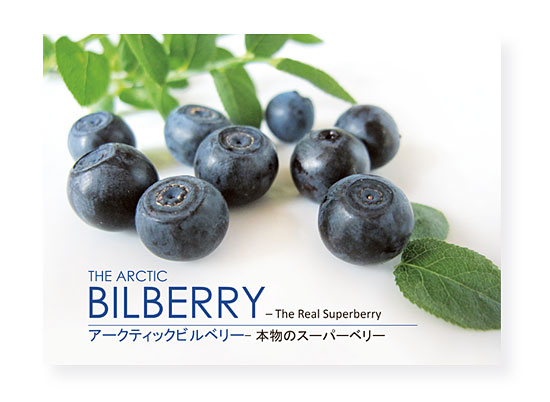 野生のビルベリーと栽培されたブルーベリーは Arctic Bilberry