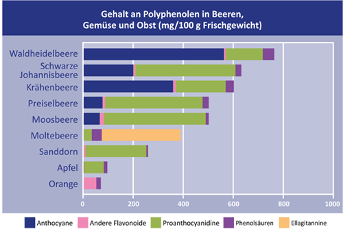 polyphenol_figure_DE.gif