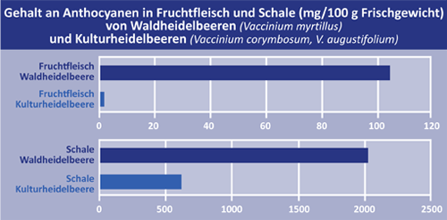 anthocyanin_figure_DE.gif