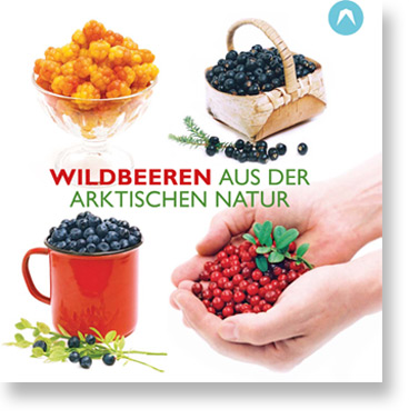 wildbeeren_aus_der_arktischen_natur2016-1.jpg