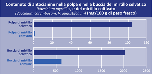 anthocyanin_figure_it.gif