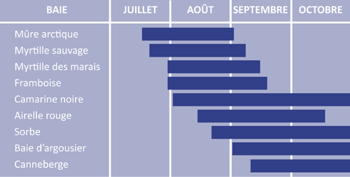 kypsymisajat_taulukko_fr.gif