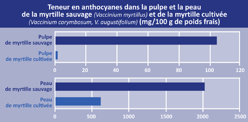 anthocyanin_figure_fr.gif