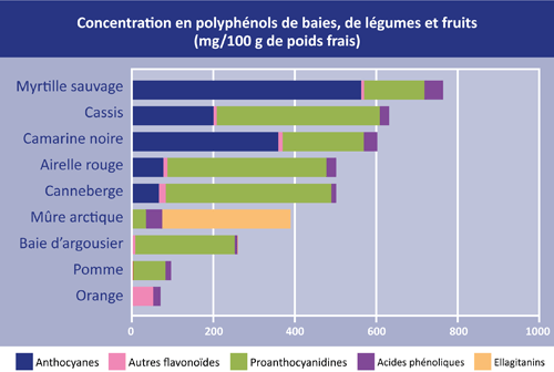 polyphenol_figure_fr.gif