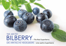 bilberry.jpg