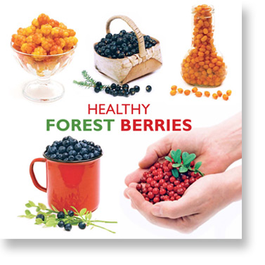 healthy_forest_berries_kansi.jpg
